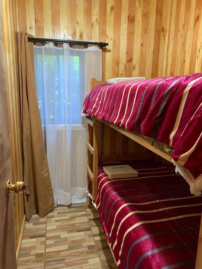 Cabanas Gonzalez Caniupan リカンライ エクステリア 写真